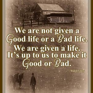 Meet your Posher, Sandy